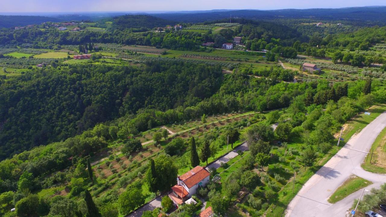 Apartments Smile By Rent Istria Grožnjan Dış mekan fotoğraf
